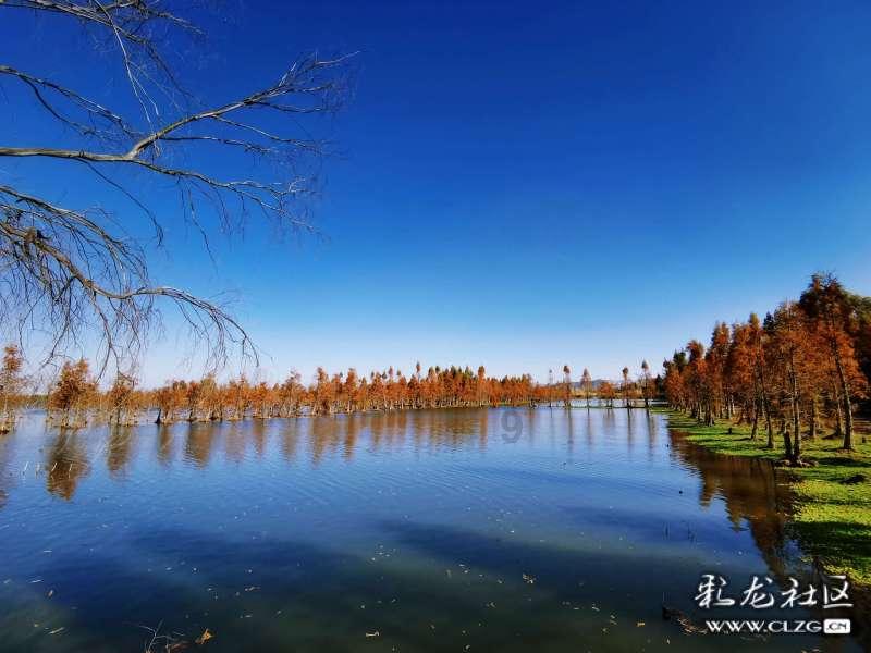 地表水为什么要监测ph